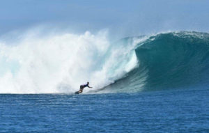 fiji surf