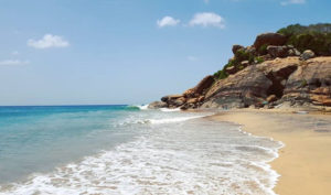 Arugam Bay surf