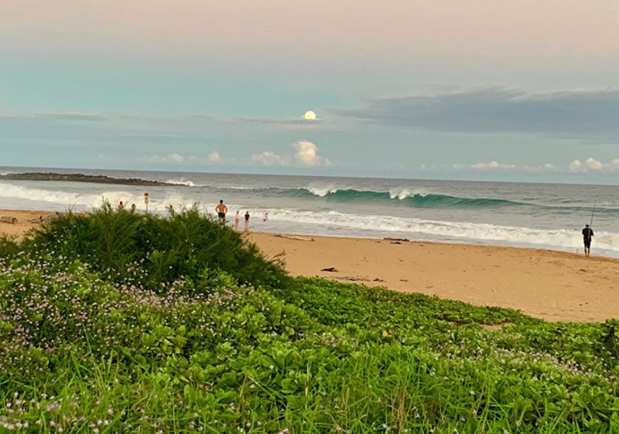 Kealia Surf Kauai