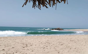 Arugam Bay surf