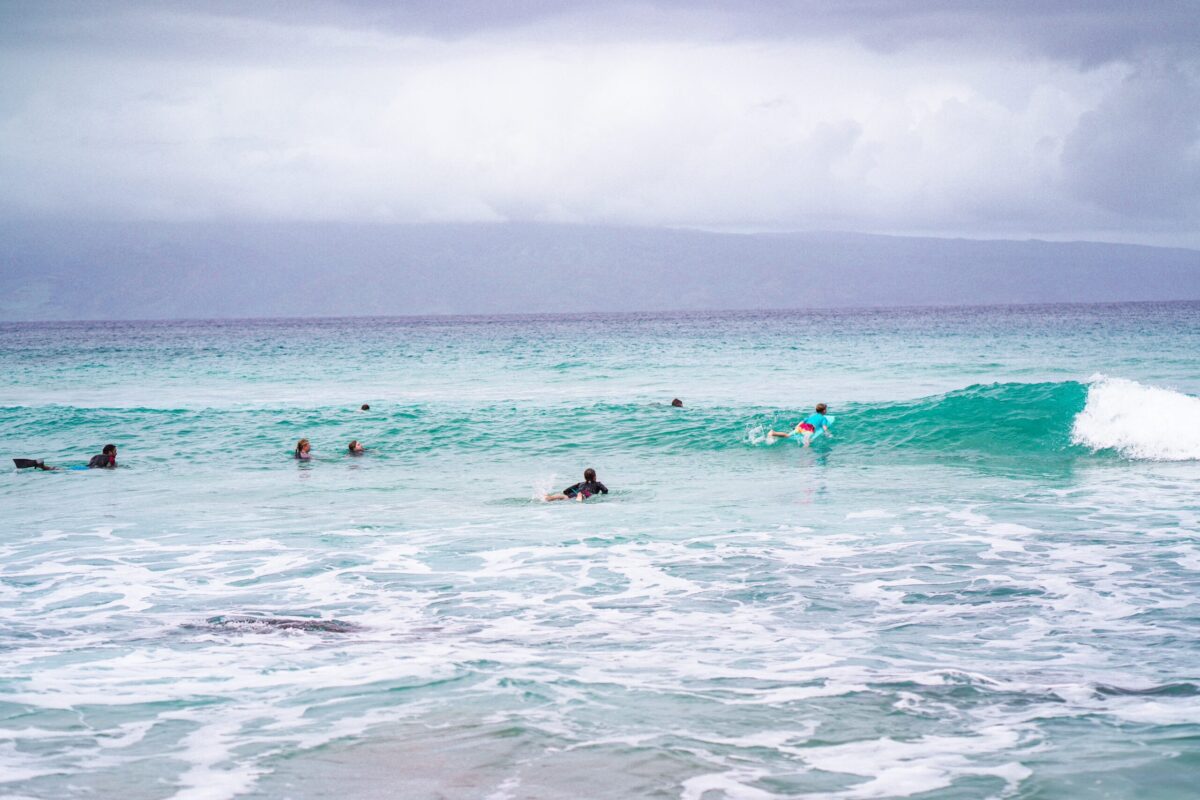 Maui Surf