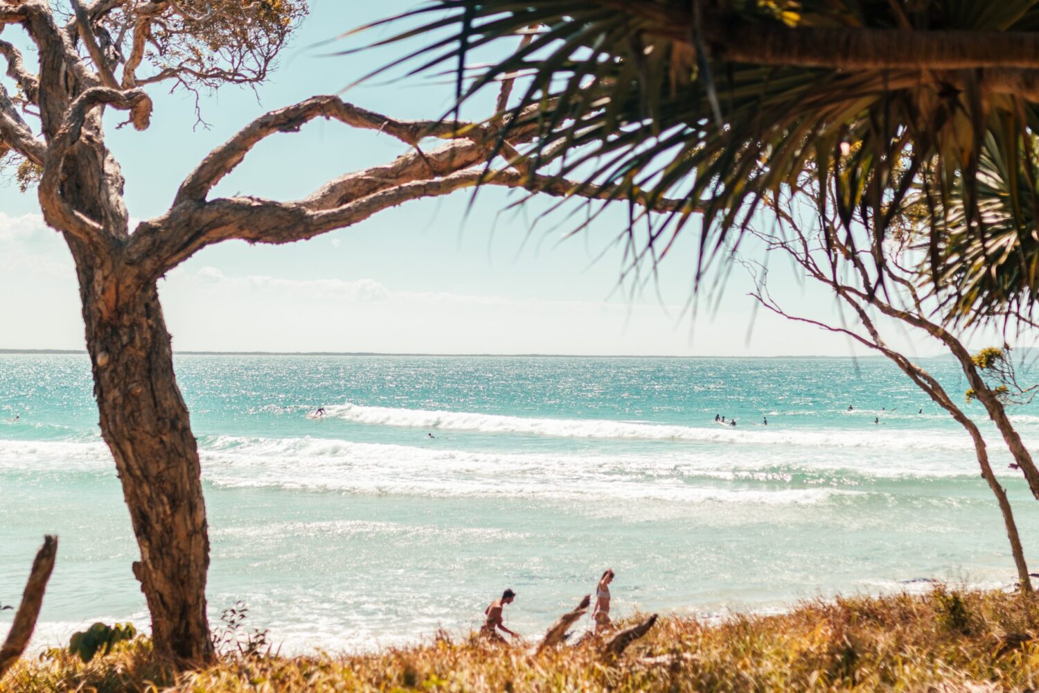 Noosa surf Australia