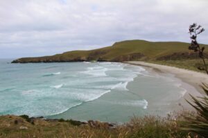 Dunedin surf New Zeland