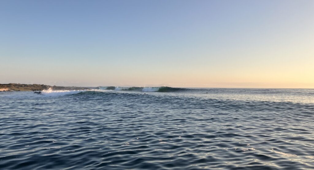 Surfing Galapagos