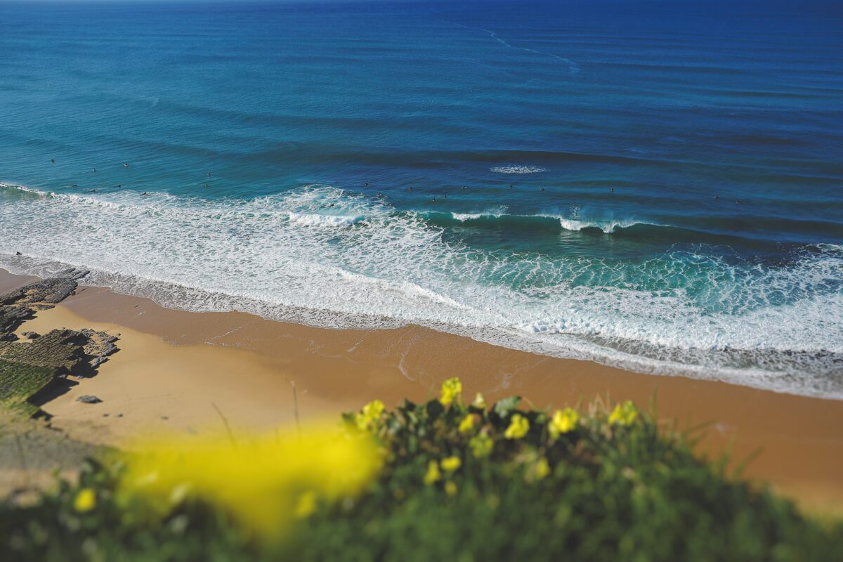 Ericeira waves surf