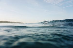 Malibu surf