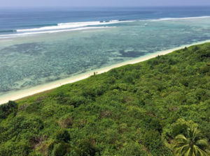 surf Andaman Islands