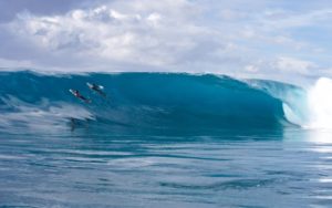 Surf P-pass