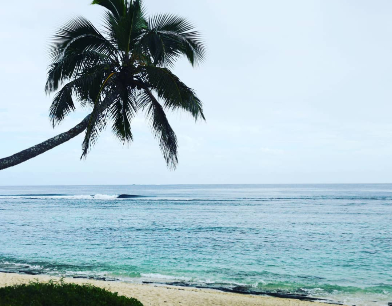 Tonga uncrowded surf