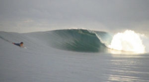 Tonga surf