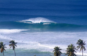 Rincon surf Puerto Rico Island