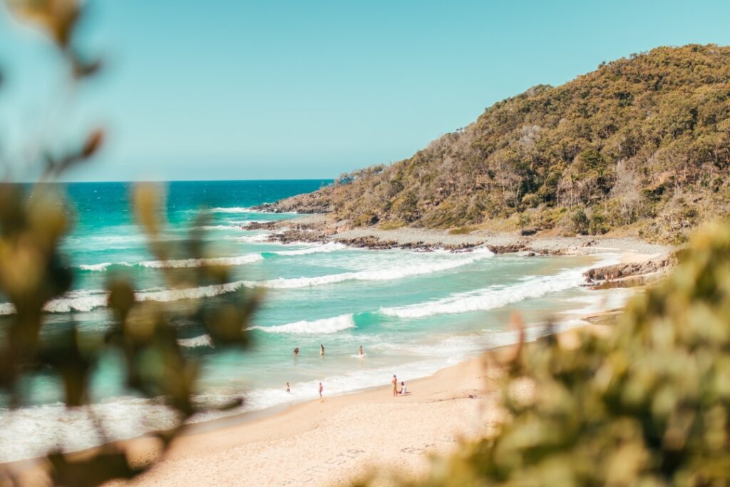 Noosa Surf Australia