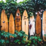 surfing in Hawaii, United States