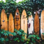 which surfboard to buy