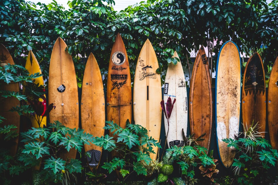 which surfboard to buy