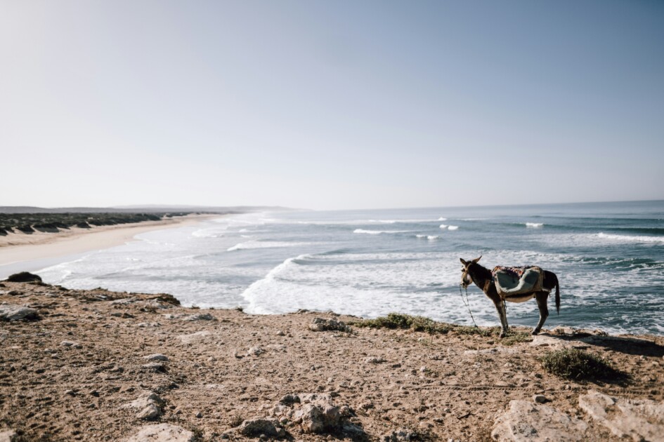 Surf Sidi Kaouki, Morocco